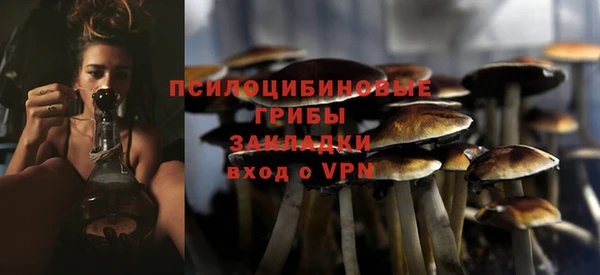Альфа ПВП Арсеньев