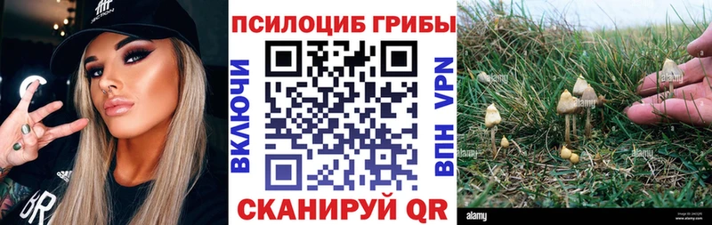 ОМГ ОМГ зеркало  Приозерск  Галлюциногенные грибы MAGIC MUSHROOMS  как найти закладки 